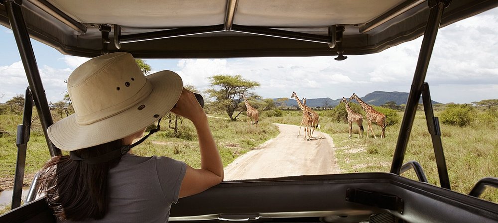 Rwanda safaris