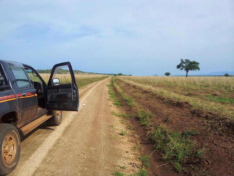 Private safaris in Uganda