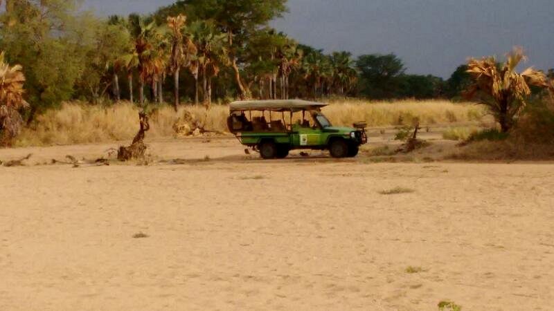 Private Uganda Safaris