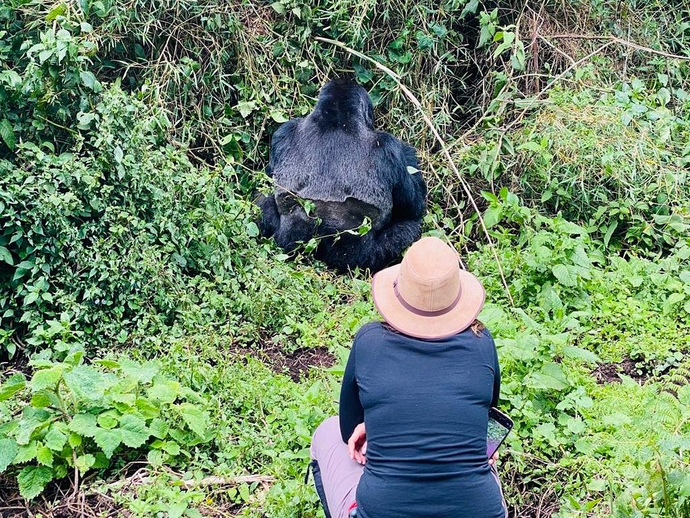 Gorilla Trekking in Bwindi Forest