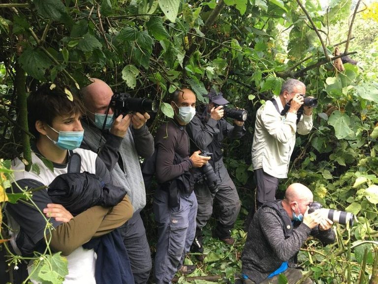 Gorilla trekking in Rwanda