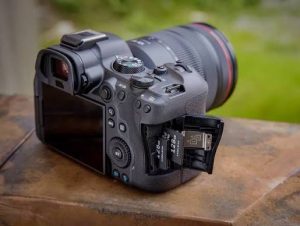 Gorilla photography