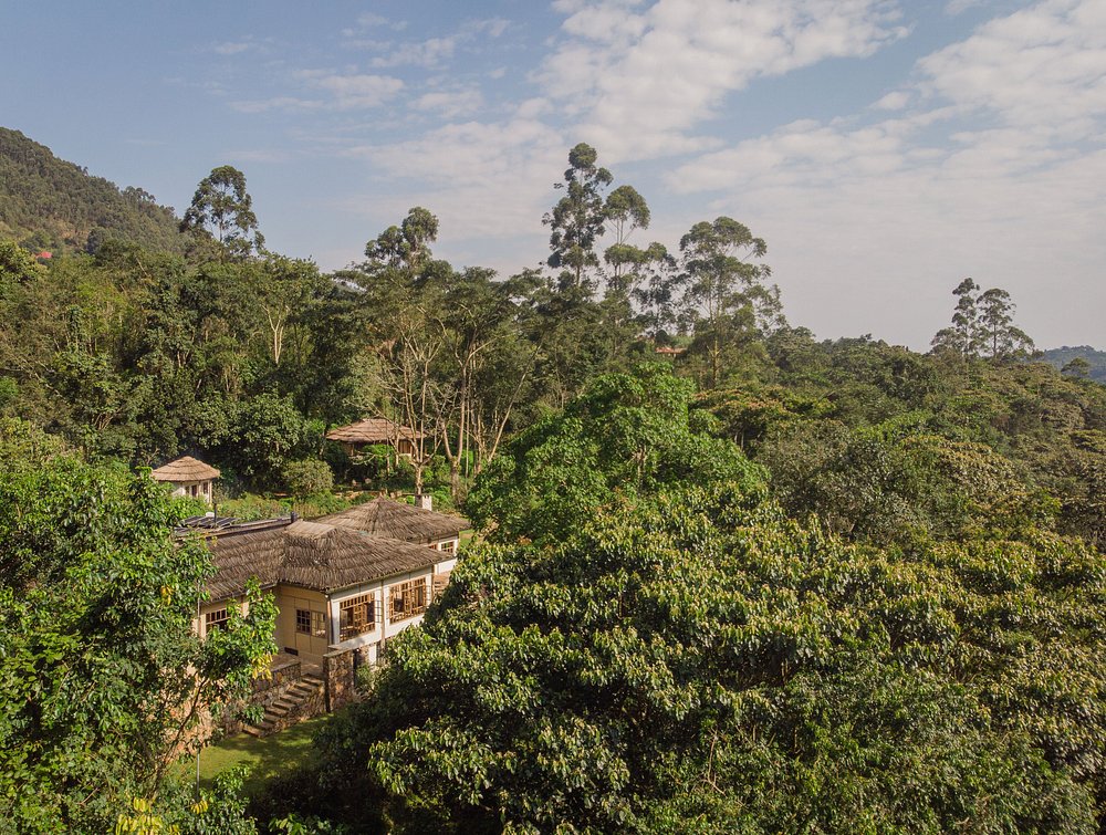 Luxury Lodges in Buhoma Sector