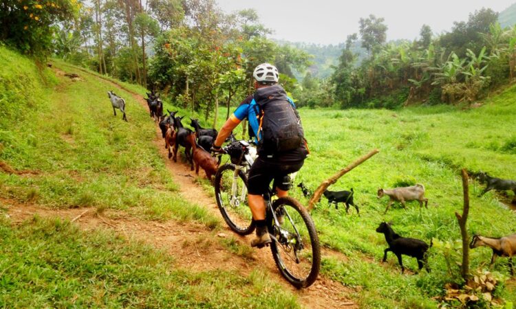 Motorbiking Safaris in Uganda