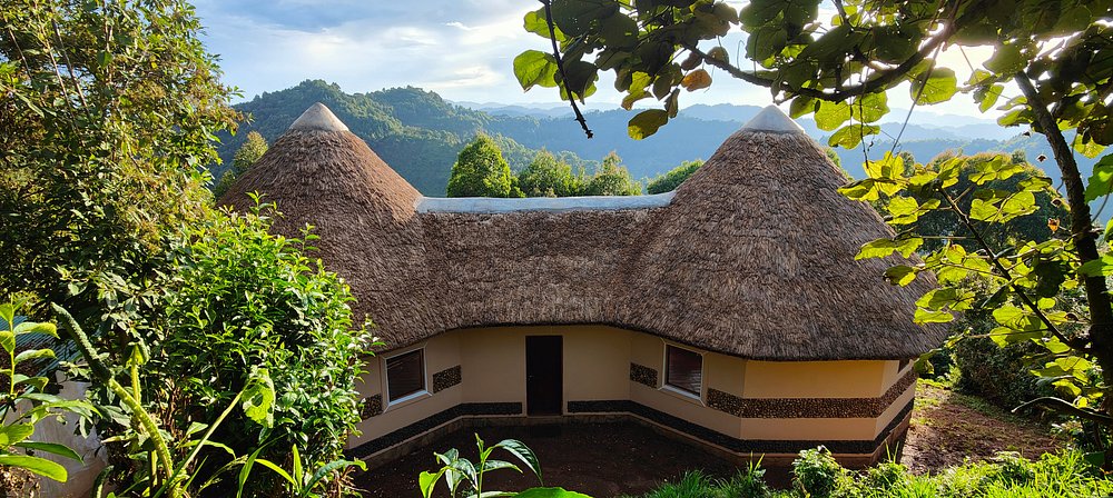 Gorilla Trekking For Families 