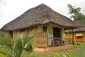 Budget Lodges in Murchison Falls National Park