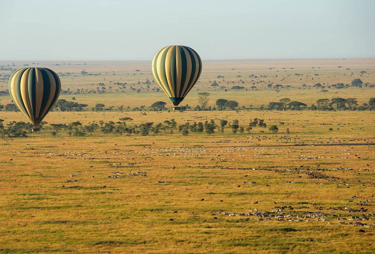 Hot air balloon ascending at sunrise over the savannah