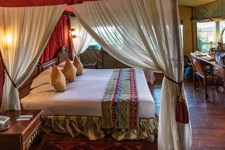 Luxury Lodges in Serengeti National Park