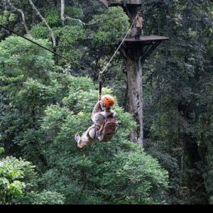 Mabira Forest Uganda