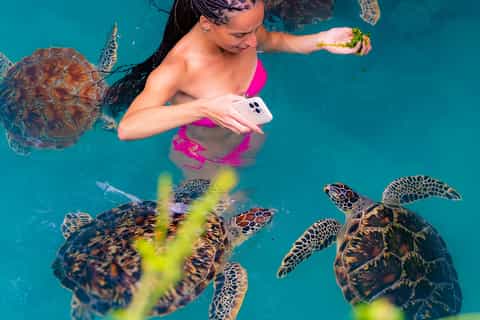Swimming with sea turtles at Mombasa Marine Park
