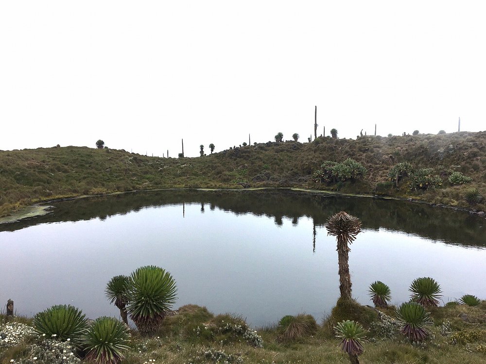 Mount Muhabura Hiking