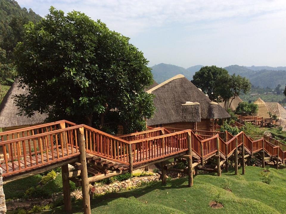 Luxury Lodges in Buhoma Sector