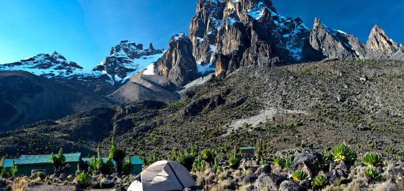 Base camp tent below the twin peaks of Mount Kenya with giant groundsels