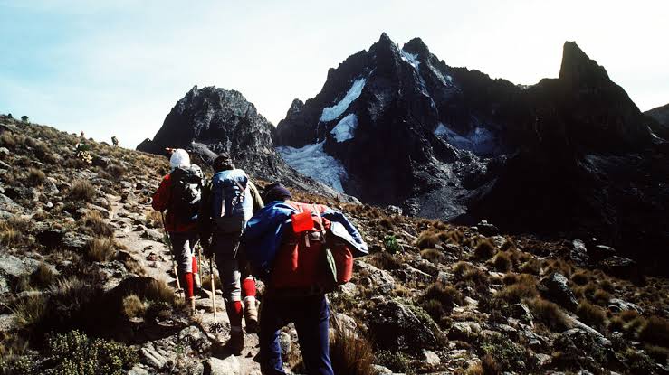 Trekking group approaching Mount Kenya summit through alpine moorland