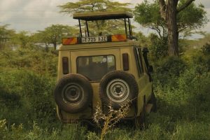 Superfine Safaris Limited
