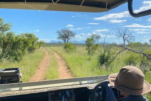 Superfine Safaris Limited